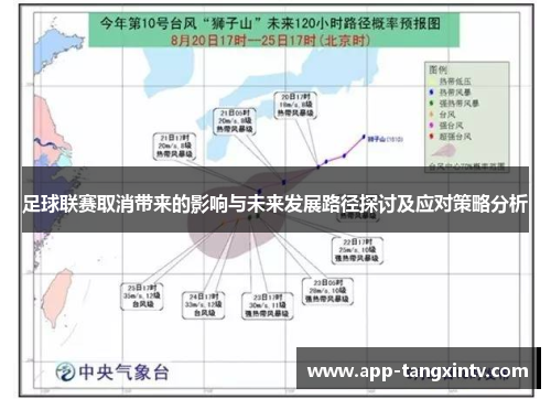 足球联赛取消带来的影响与未来发展路径探讨及应对策略分析
